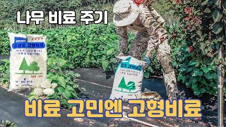 【조경용 고형비료 주기】 나무 비료 고민엔 고형비료 오래가는 영양제 