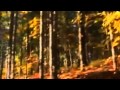 Midlake - Head home - Music Video
