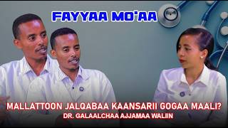 MALLATTOON JALQABAA KAANSARII GOGAA MAALI? DR. GALAALCHAA AJJAMAA WALIIN  - FAYYAA MO'AA