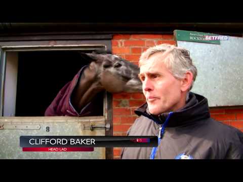 Dodging Bullets "He'll travel well and stay on strongly" - Cheltenham Preview 2015 | Betfred TV