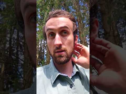 Can I Be Honest About Mark Ward and Textual Variants??