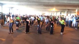 preview picture of video 'Garmin Flash Mob 2012'