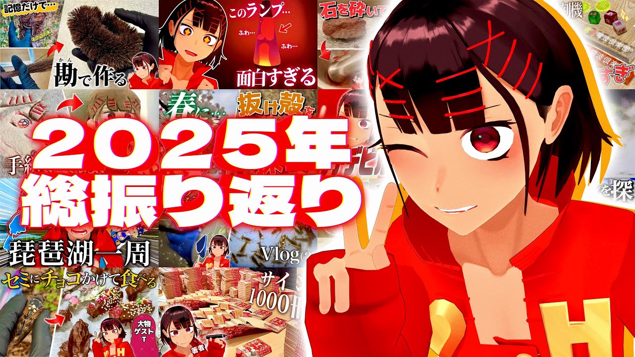 【凄かった】2025年もありがとう！！色々あり過ぎたので振り返りつつ感想を言う動画【あけおめ】