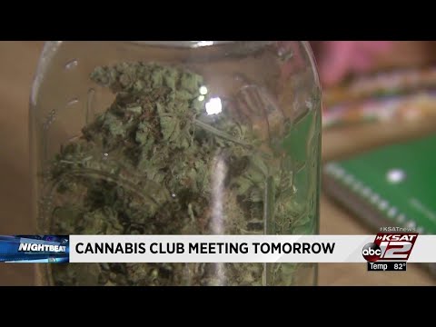 Video: San Antonio's first cannabis club launches Wednesday