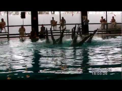 Synchronschwimmen TSV E.Karlsfeld SDMS 2012, 1.platz junioren tech. Kür Gruppe