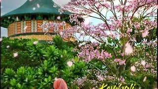 Download lagu STORY WA 30 DETIK|| WANITAKU Versi Japan mp3