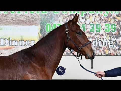 URBAIN VAN DE BLAUWPOORT