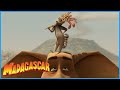 DreamWorks Madagascar Bring The Water Back Madagascar Escape 2 Africa Movie Clip