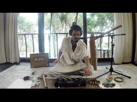 Harp of the Art Angel ꃼ Janax Pacha ꃼ Papaya Playa Project - Live Looping Boss rc505