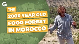 The 2000 Year Old Food Forest in Morocco