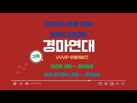 2025년 06월 29일 일요일 서울경마 연대