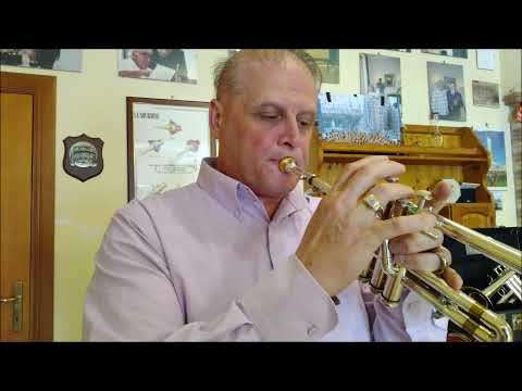 Santino Torre - Un Saluto A Cosenza - Osvaldo Minervini