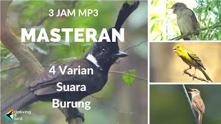 Download lagu MP3 KOMBINASI Suara Masteran Burung SIKATAN LONDO ... mp3