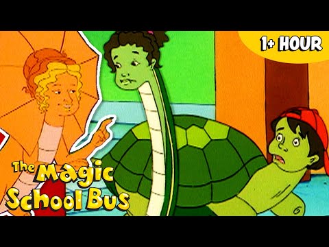 The Class Transforms Into Animals | Full Episodes | The Magic School Bus