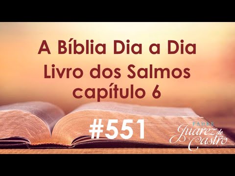 Bible Course 551 - Book of Psalms 6 - Prayer in Suffering - Father Juarez de Castro