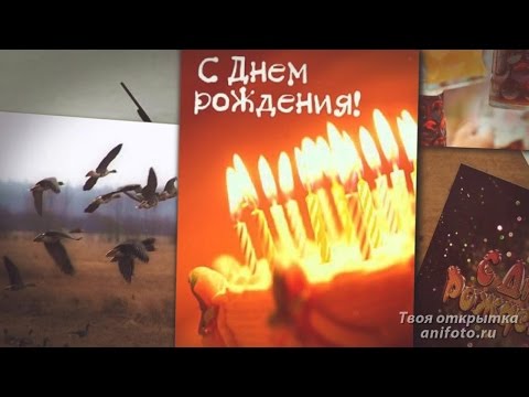 С Днем Рождения Мужчине Охотнику поздравления