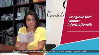 image not found