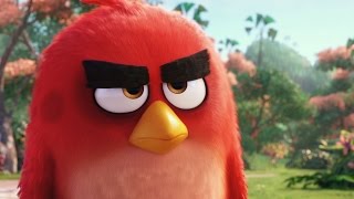 ANGRY BIRDS: LA PELÍCULA | Trailer en español (HD)