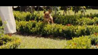 Le Chihuahua de Beverly Hills Film Trailer