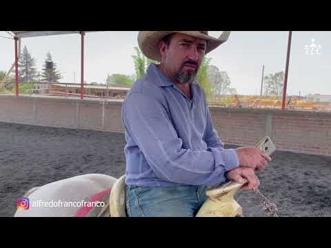 C16P2 EL CAMINO AL FUTURITY VIP - Toño Díaz y Alfredo "El Güero" Franco