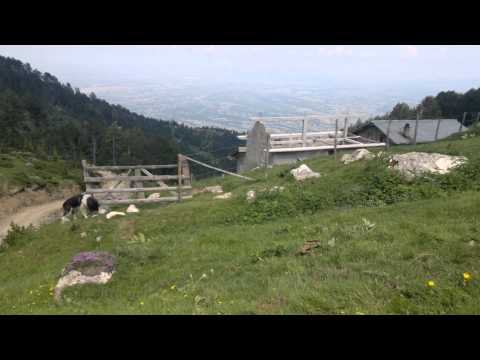 Bjeshket e Strellcit.18.06.2013.