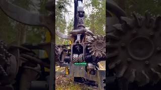 This Machine Devours Trees in Seconds