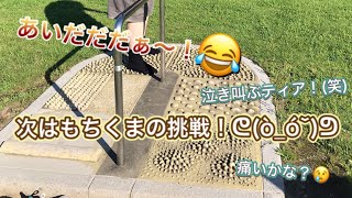 【宮リバー後編】足つぼマッサージが地獄の痛さだったので もちくまにやらせてみたんだけど、、