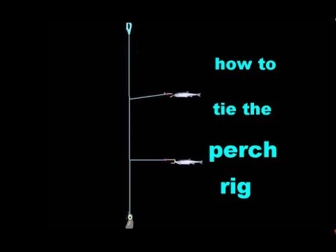 TYING THE PERCH RIG