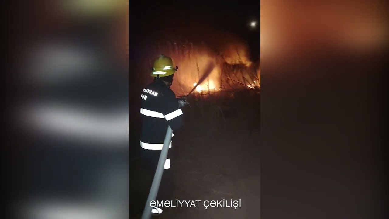 Goranboy və Ucarda açıq ərazidə yanğın baş verib VİDEO
