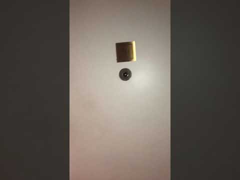 145 Pinckney Street U:111