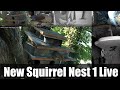 SqNest.Live-2of6: Squirrel Wonderland nut dispenser (JB & Sunshine left on May 20, 2024) 🇺🇸🎗🇺🇦