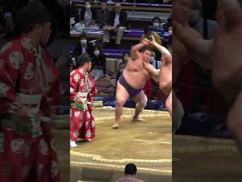 3 Epic Sumo Matches