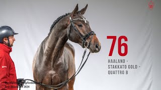 Video of Hengst von Haaland / Stakkato Gold