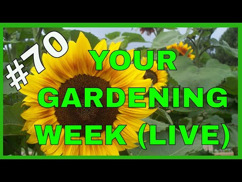 , title : 'Gardening Secrets (Q&A)'