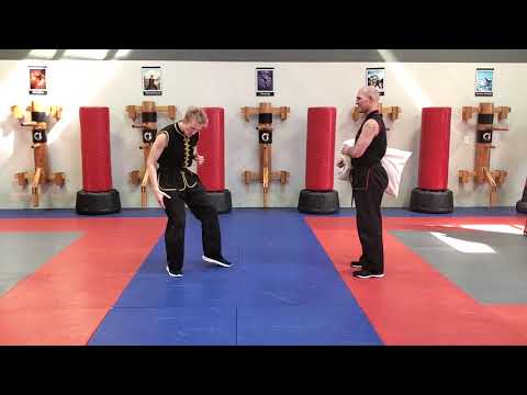 Kung Fu Cat Stance Practice Tips