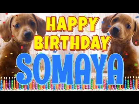 Happy Birthday Somaya! ( Funny Talking Dogs ) What Is Free On My Birthday