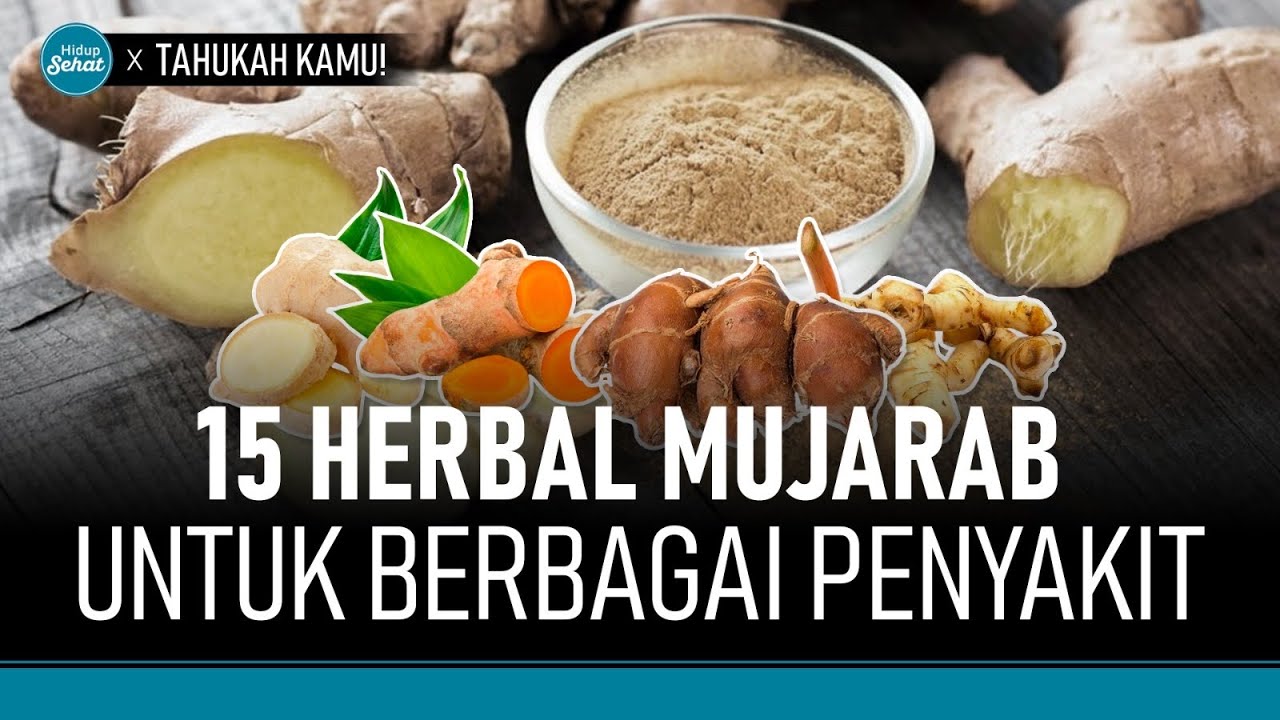 Daftar Herbal yang Paling Berkhasiat Bagi Kesehatan | Hidup Sehat tvOne