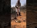 1 Time Wild Cat Lost To Catch Pole