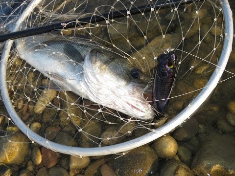 DUO Masterclass #2: Realis Pencil 110 SW and how to use it!