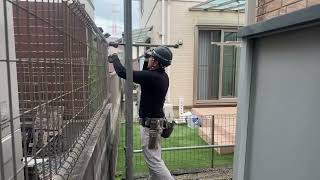 動画サムネイル