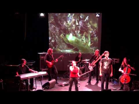 Adeia - Cordyceps