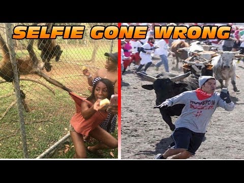Animal Selfies Gone Wrong - The Worst And Funniest Side Of The Selfies | Bigoted