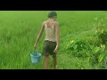 Awesome Fishing Videos Ll Queen Vlogs Ll Village Little Girl Catching Fish With Sepa FUTURELIFE