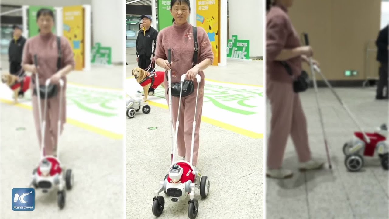 Metro de Shenzhen pone a prueba servicio de perros guía robot