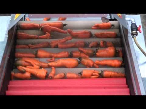 Karottenwaschmaschine/Bürstenwaschmaschine - Mix Fördertechnik