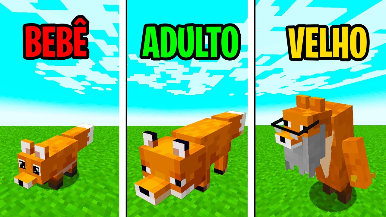 CICLO DE VIDA DE UMA RAPOSA