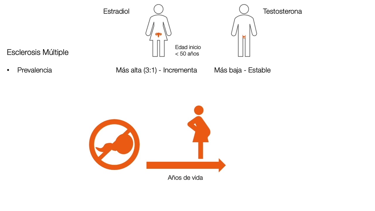 Las poderosas hormonas sexuales - Visión general