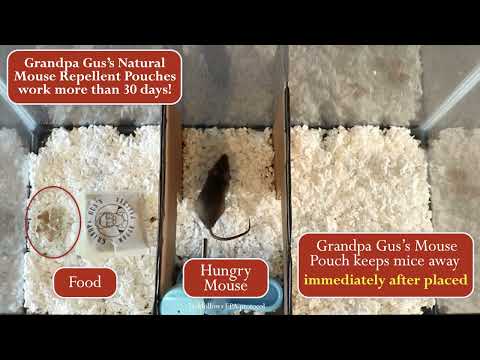 Grandpa Gus's Mouse Repellent Pouches Performance Test