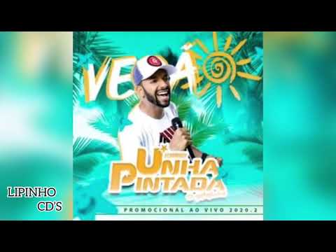 SEXTOU COM S DE SAUDADE - UNHA PINTADA VERÃO 2020