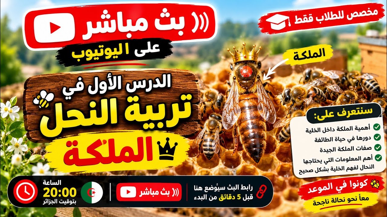 دورة مجانية لتعلم تربية النحل / الدرس الاول: الملكة